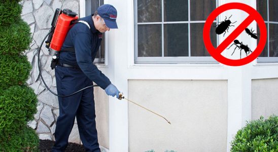 Etimesgut Akrep İlaçlama böcek ilaçlama ve haşere kontrolü — ilaclama-tr.com